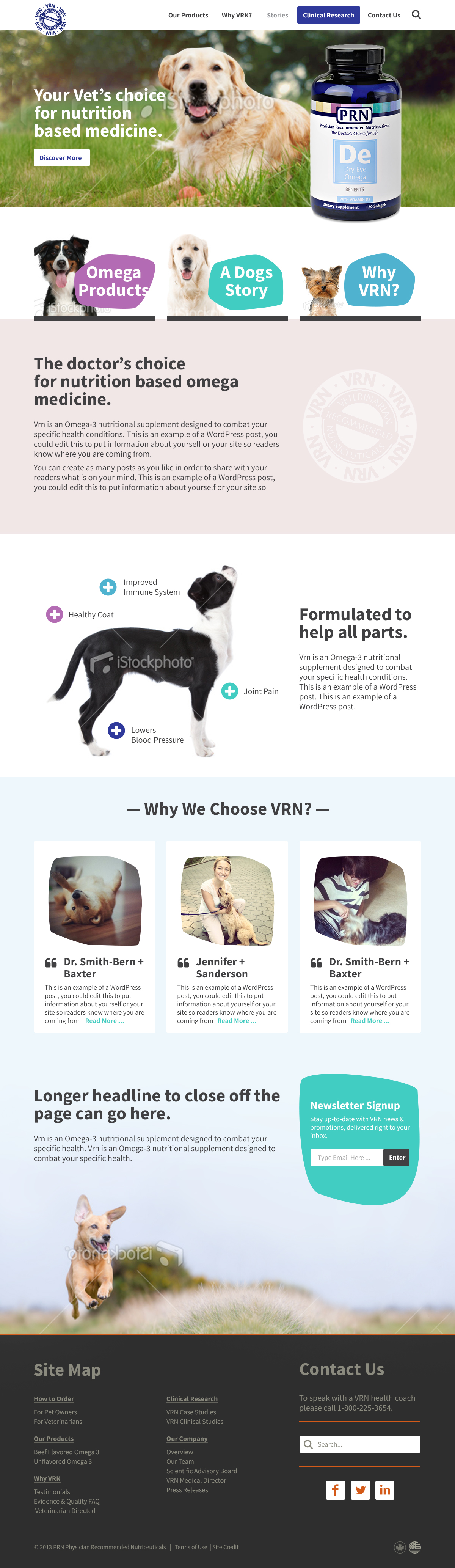 dog product company home page design long form